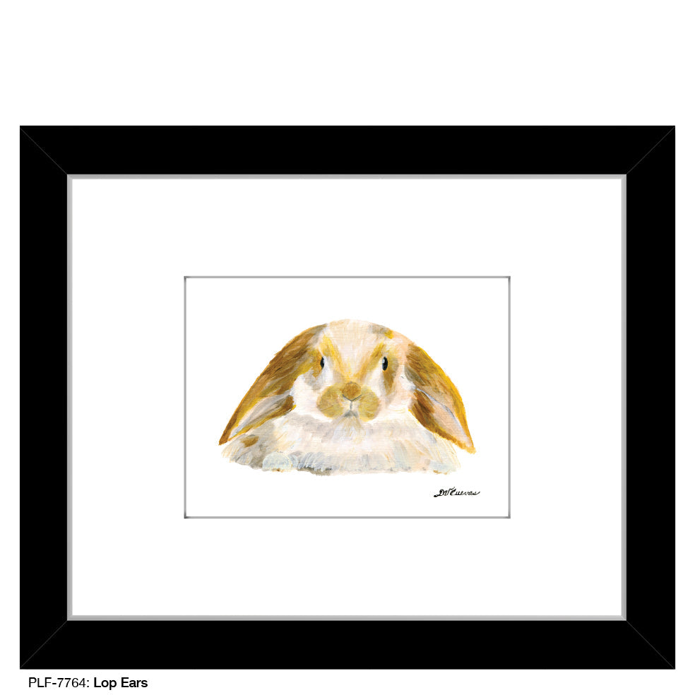 Lop Ears, Print (#7764D)