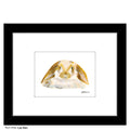 Lop Ears, Print (#7764D)