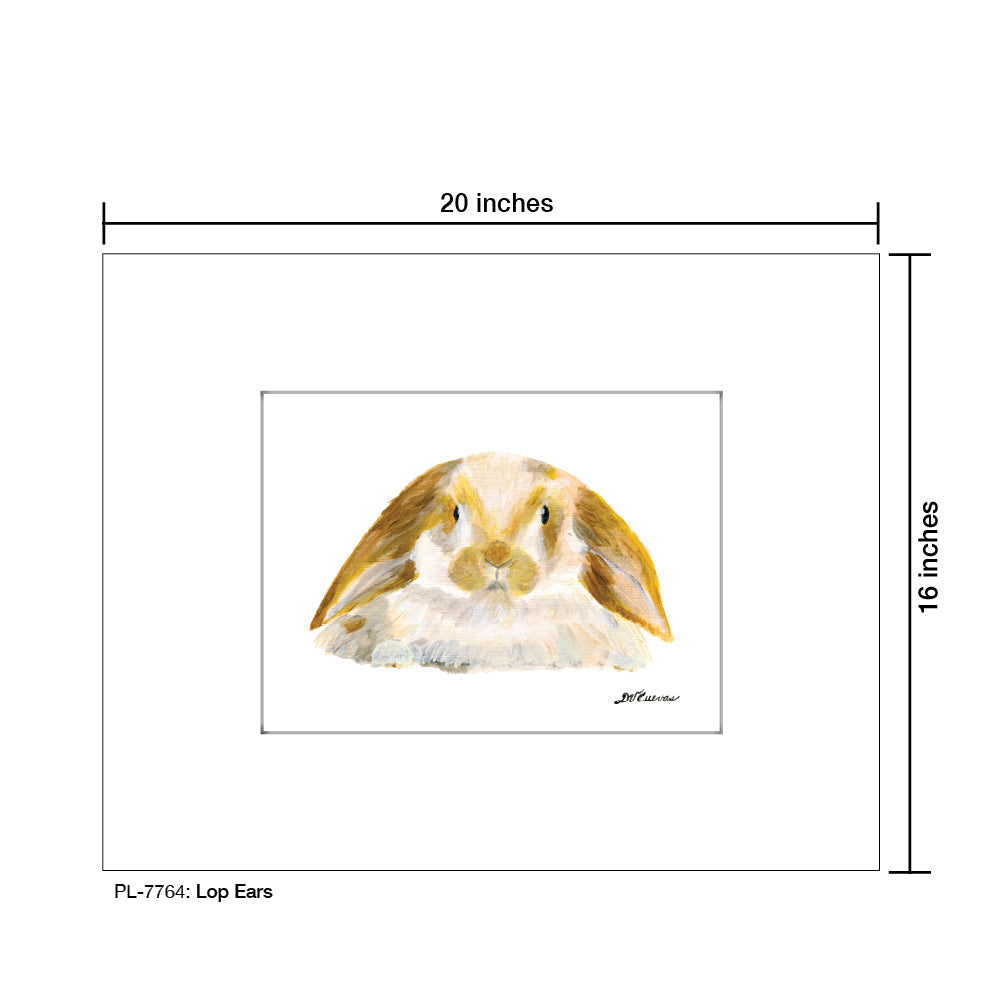 Lop Ears, Print (#7764D)