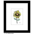 Marguerite Gardens, Print (#7568A)