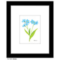 Marilyn Forget Me Not, Print (#8604A)