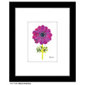 Mauve Anemone, Print (#7396A)