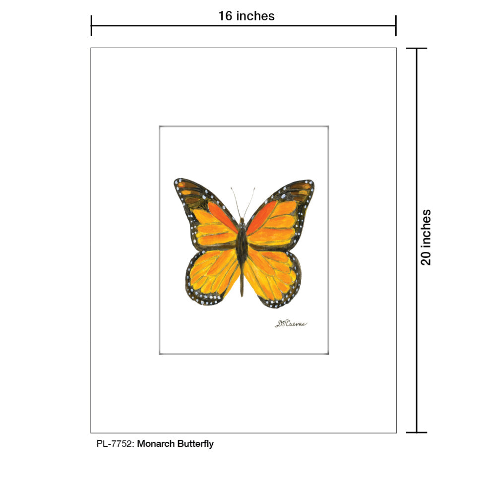 Monarch Butterfly, Print (#7752B)
