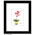 Moth Orchids, Print (#7448B)