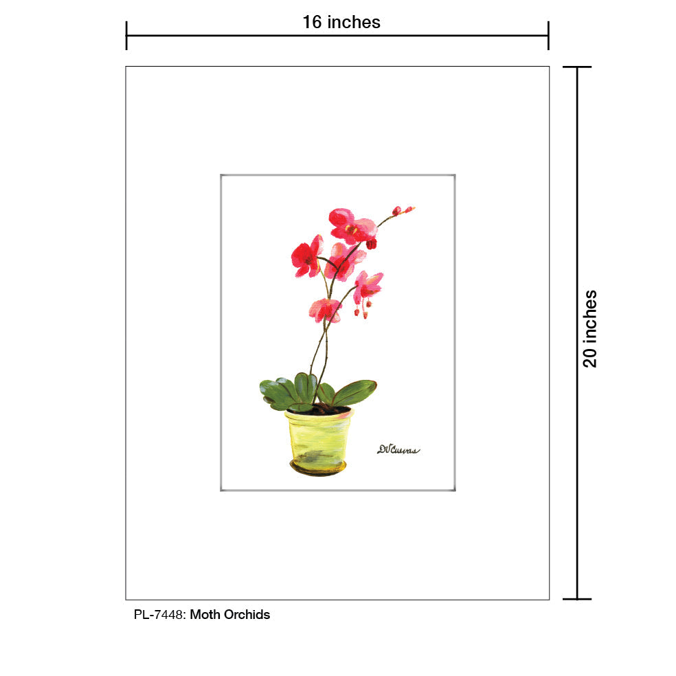 Moth Orchids, Print (#7448B)