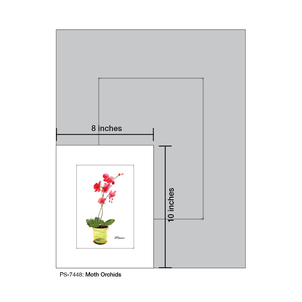 Moth Orchids, Print (#7448B)