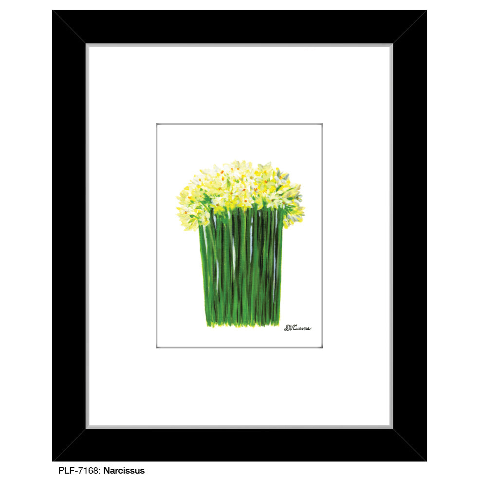 Narcissus, Print (#7168A)