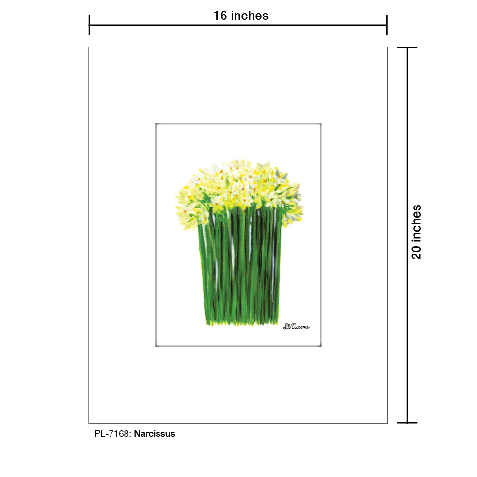 Narcissus, Print (#7168A)