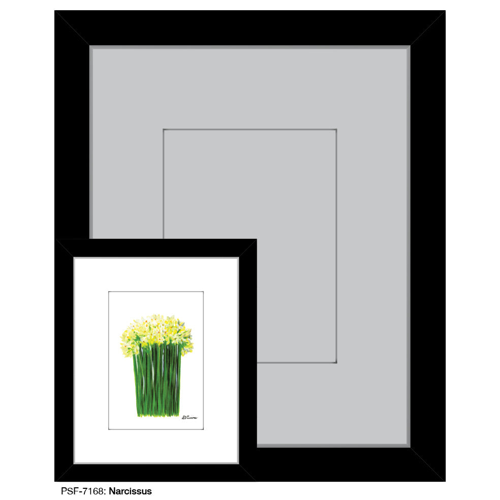 Narcissus, Print (#7168A)