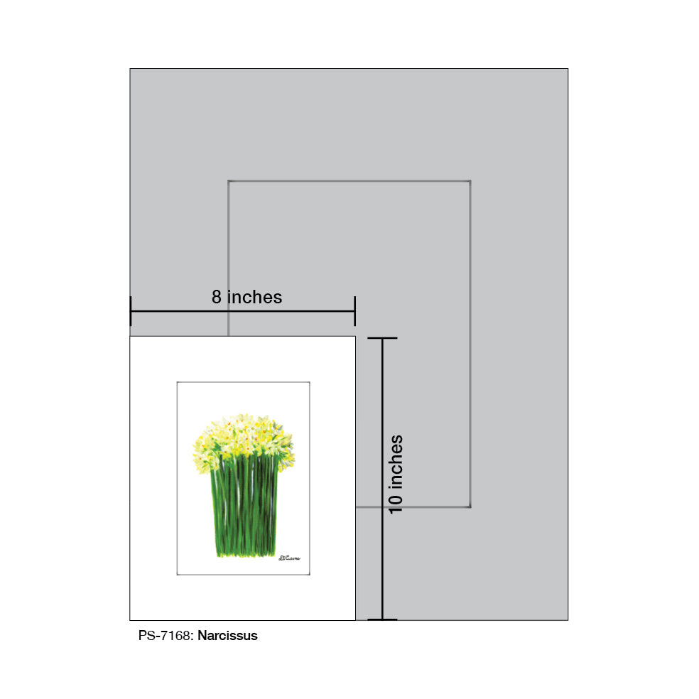 Narcissus, Print (#7168A)