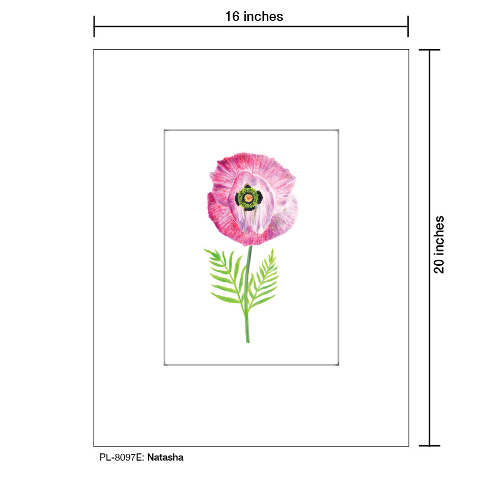 Natasha Anemone, Print (#8097E)