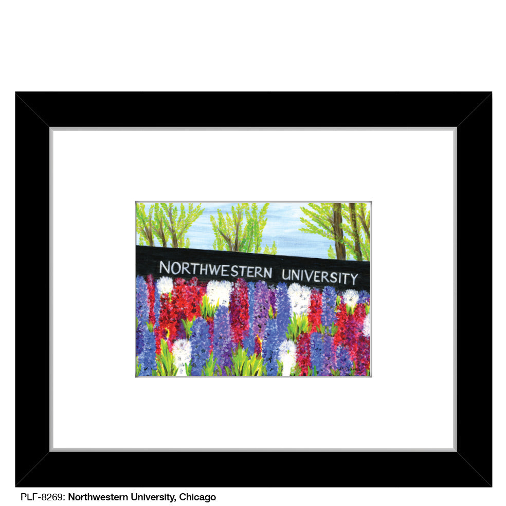 Northwestern University, Chicago, Print (#8269A)