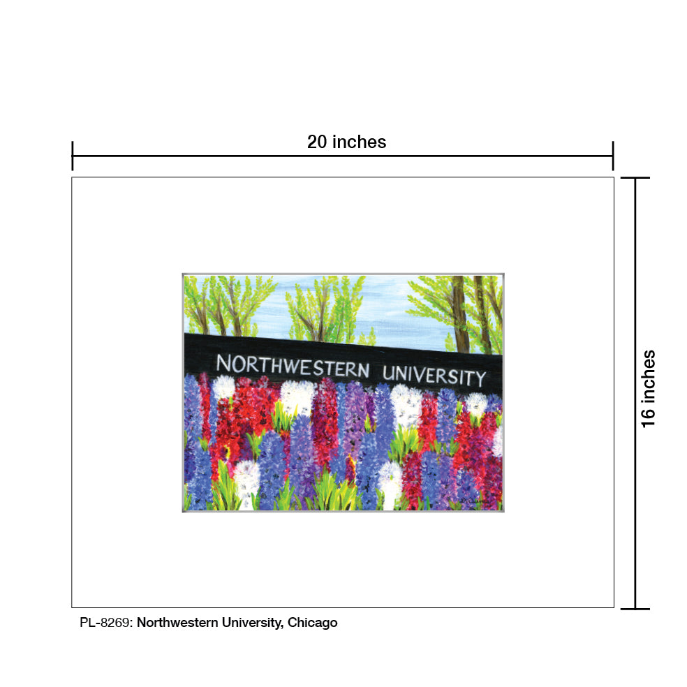 Northwestern University, Chicago, Print (#8269A)