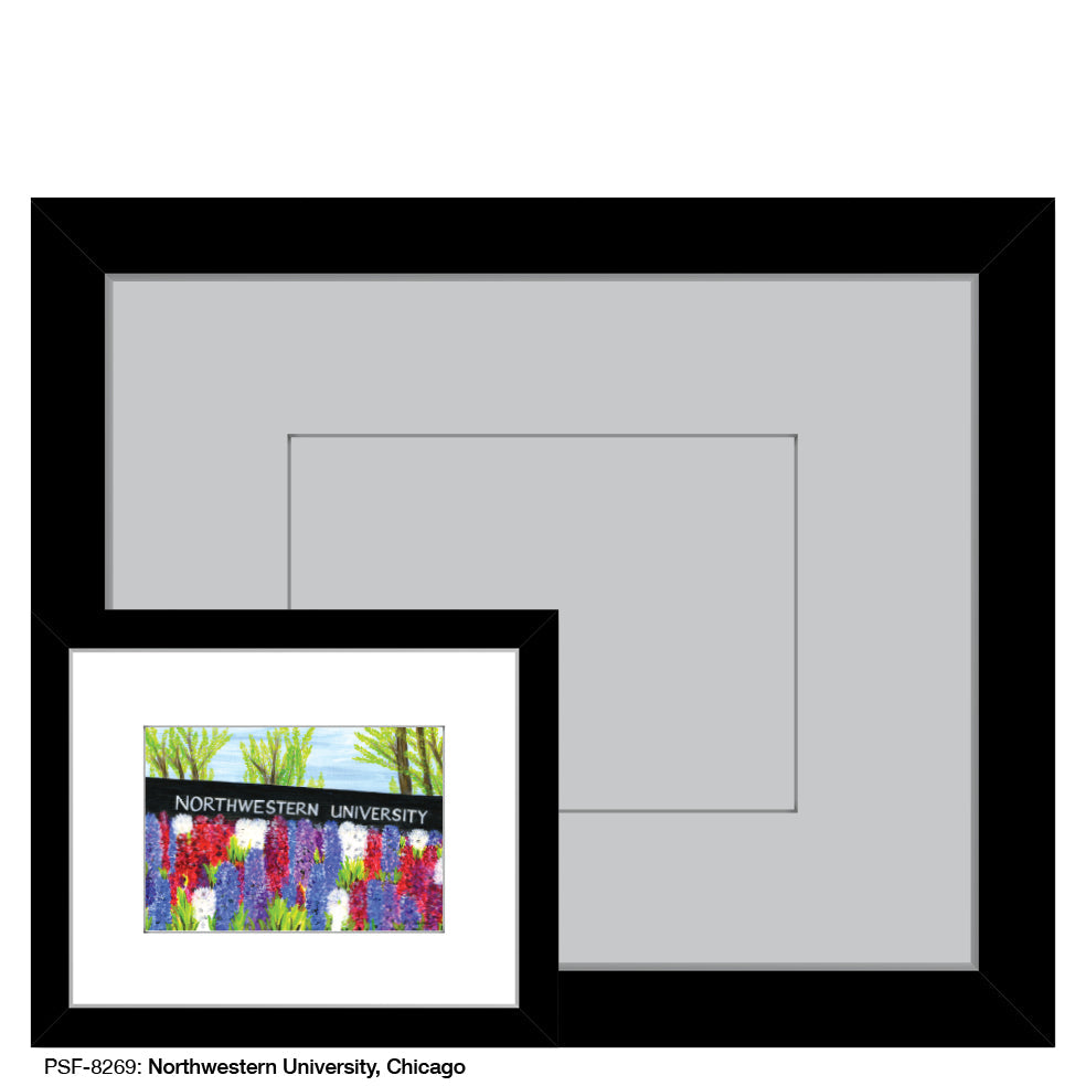 Northwestern University, Chicago, Print (#8269A)