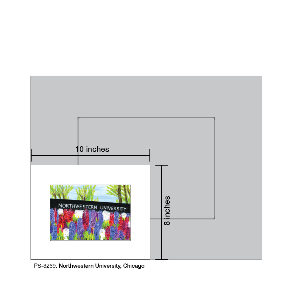 Northwestern University, Chicago, Print (#8269A)