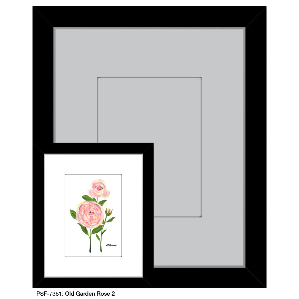 Old Garden Rose 2, Print (#7381A)