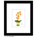 Orchid 'Cybidium', Print (#7169C)