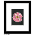 Peony 3, Print (#7258D)