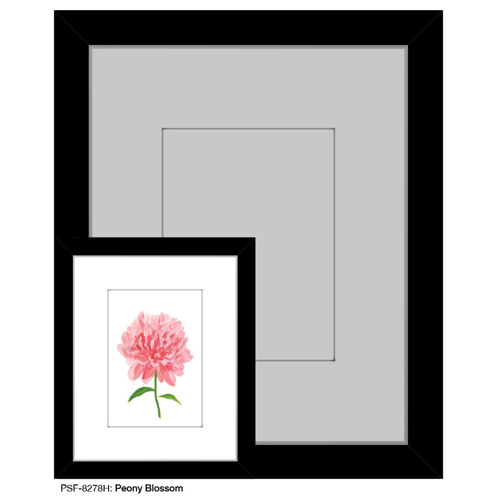 Peony Blossom, Print (#8278H)