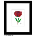 Peony Dark Stem, Print (#7828A)