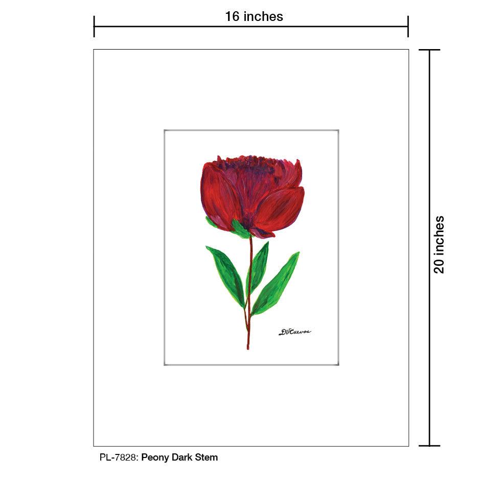 Peony Dark Stem, Print (#7828A)
