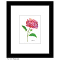 Peony Lean, Print (#7822A)