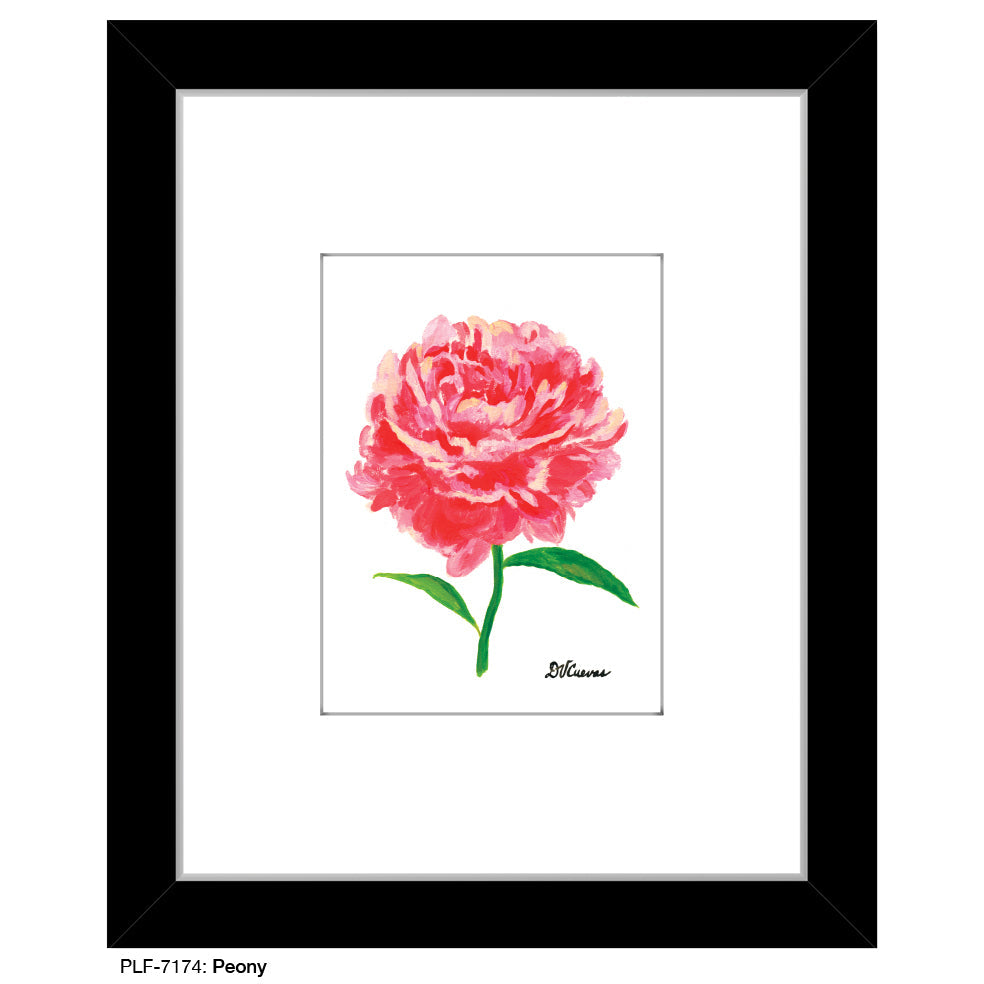 Peony, Print (#7174E)