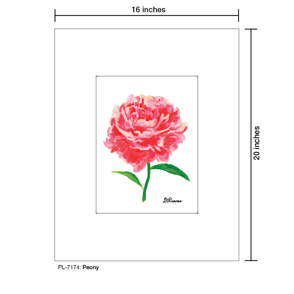 Peony, Print (#7174E)