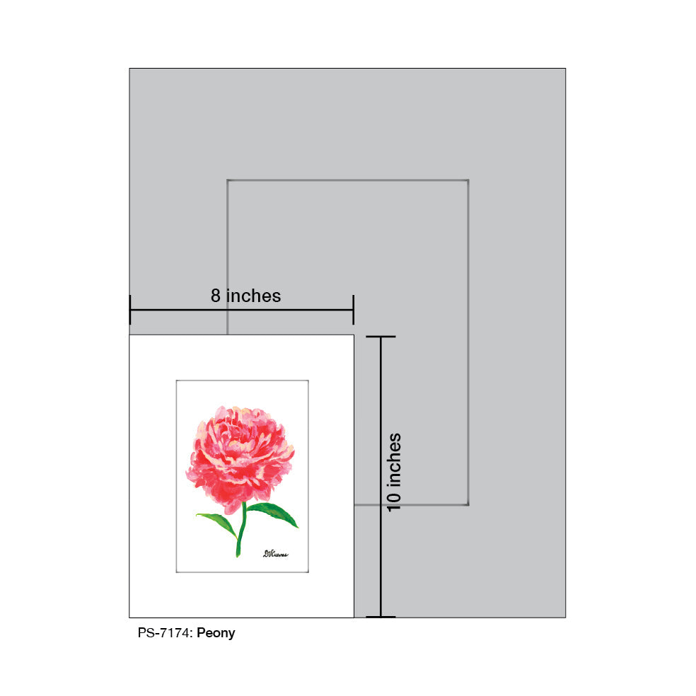 Peony, Print (#7174E)