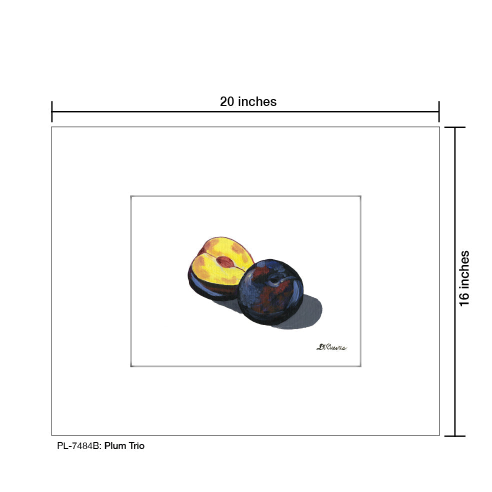 Plum Trio 1, Print (#7484B)
