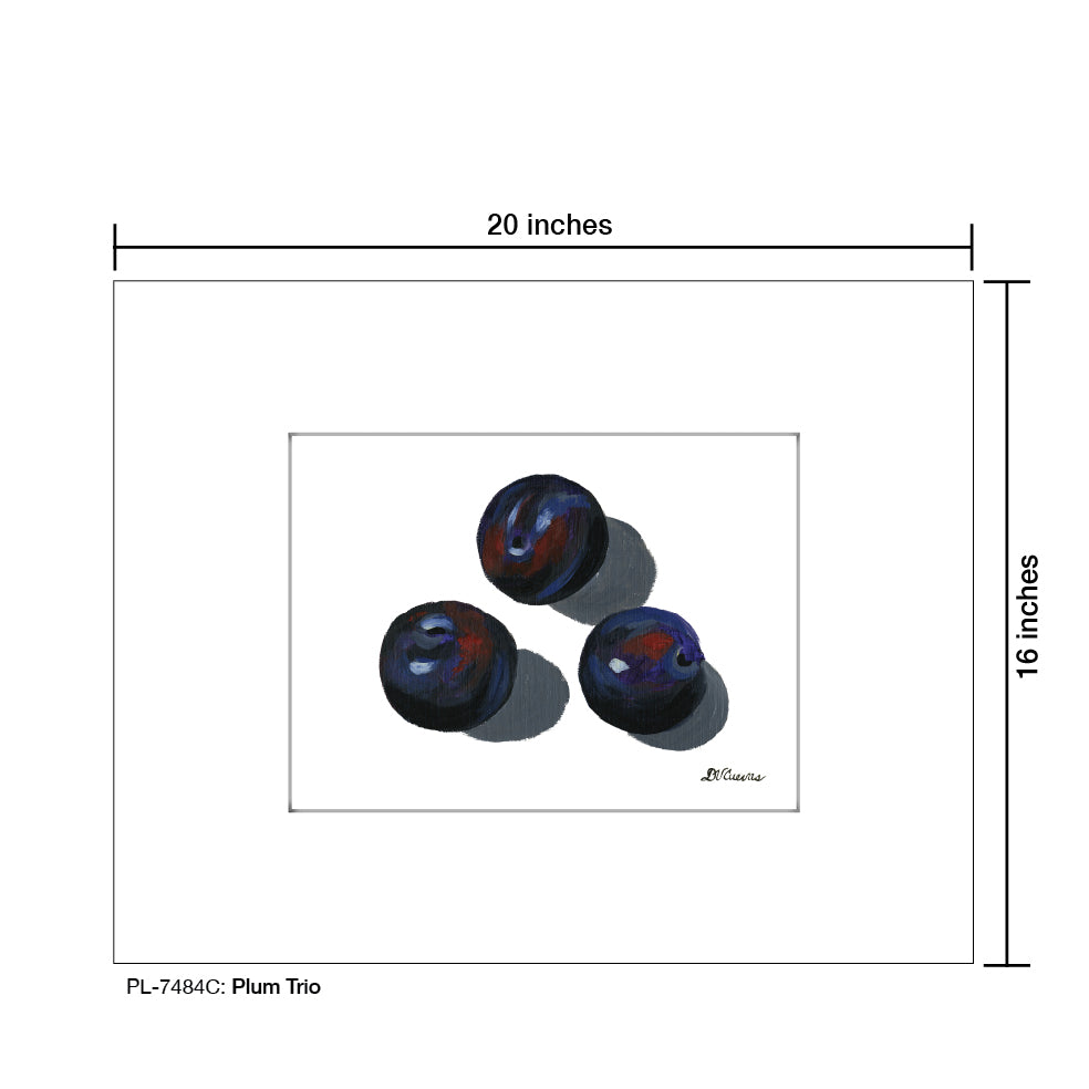 Plum Trio 1, Print (#7484C)