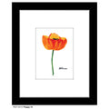 Poppy 10, Print (#7213C)