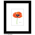 Poppy Essence, Print (#7781B)