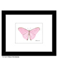 Pretty in Pink Butterfly, Print (#8676H)
