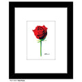 Red Rose, Print (#7227A)