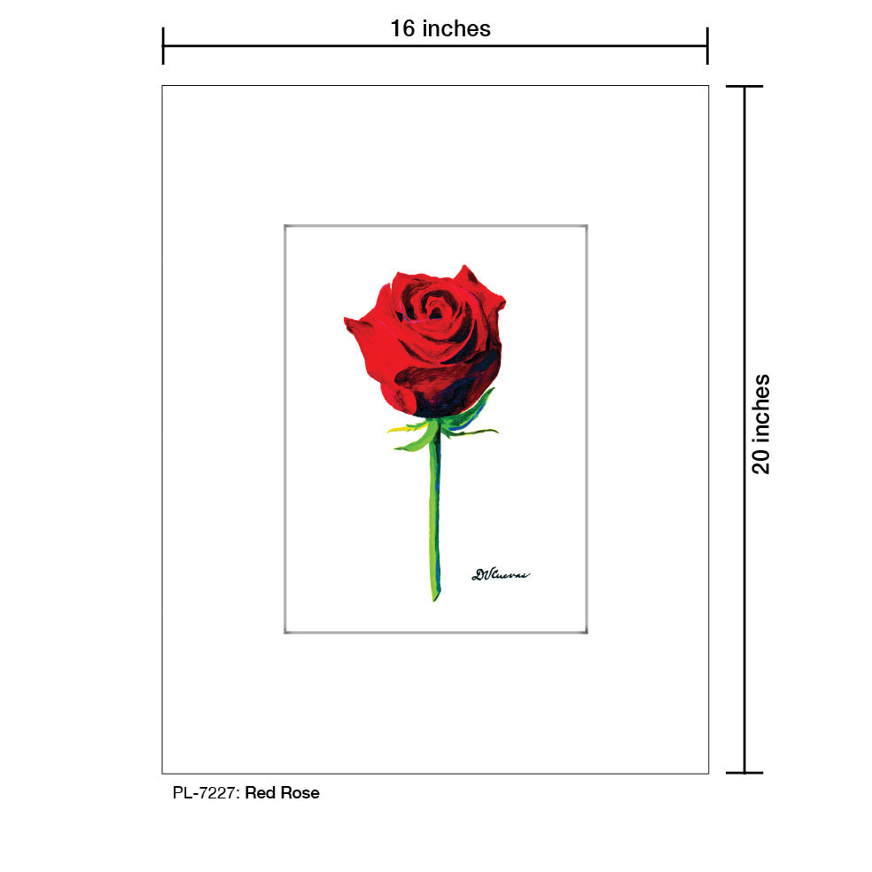 Red Rose, Print (#7227A)