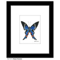 Rhetus Periander Butterfly, Print (#7771A)