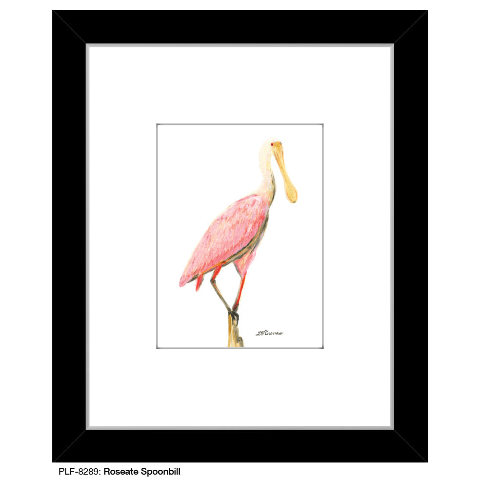 Roseate Spoonbill, Print (#8289C)