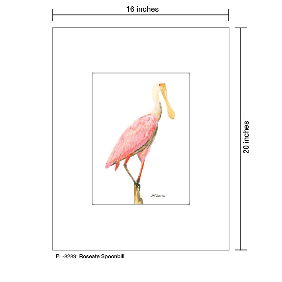 Roseate Spoonbill, Print (#8289C)