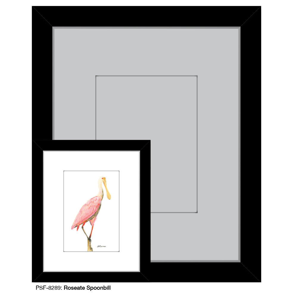 Roseate Spoonbill, Print (#8289C)