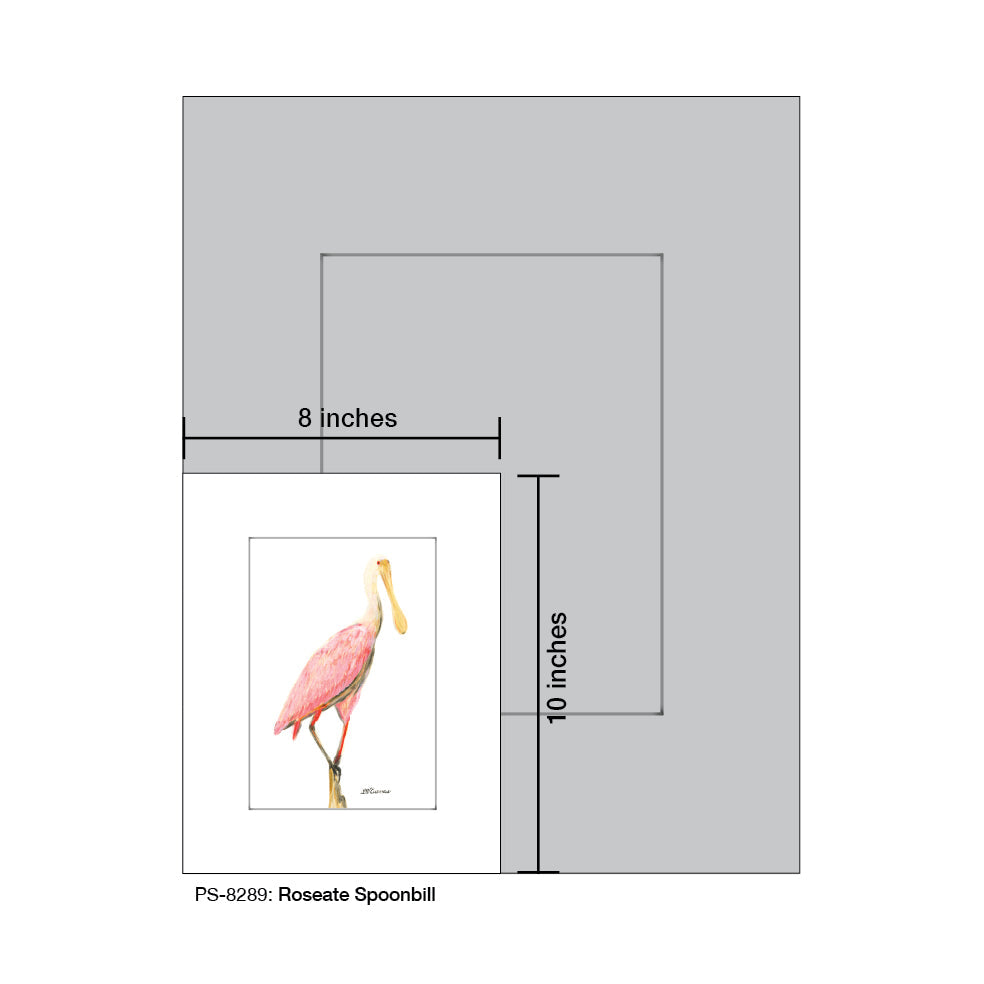 Roseate Spoonbill, Print (#8289C)
