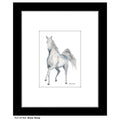 Show Horse, Print (#8730A)