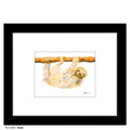 Sloth, Print (#8581B)