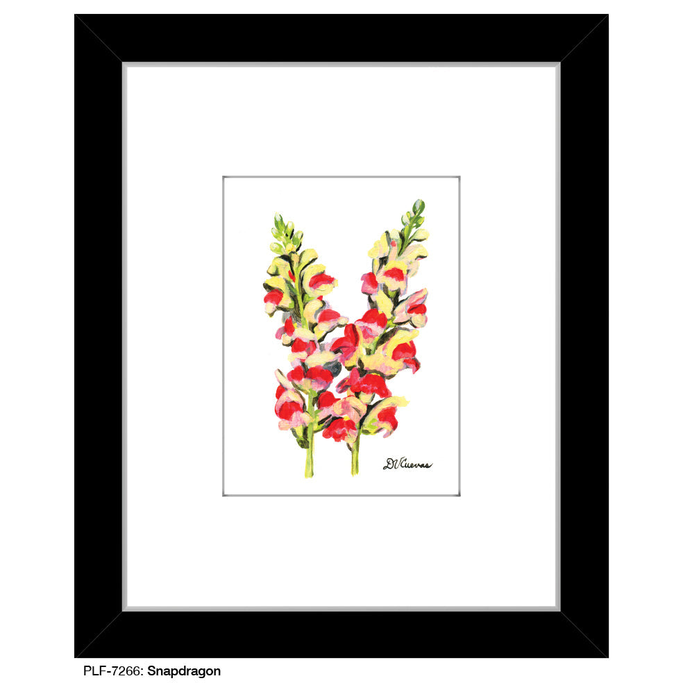 Snapdragon, Print (#7266A)