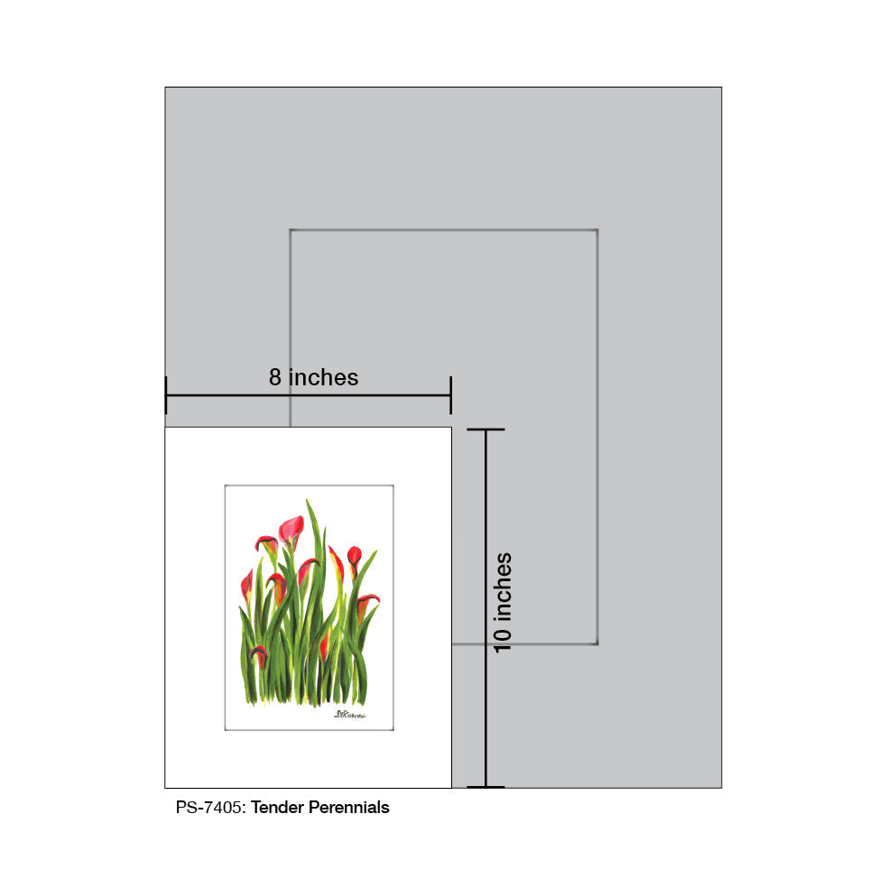 Tender Perennials, Print (#7405A)