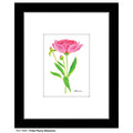 Three Peony Blossoms, Print (#7825E)
