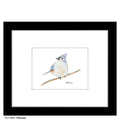 Titmouse, Print (#8669A)
