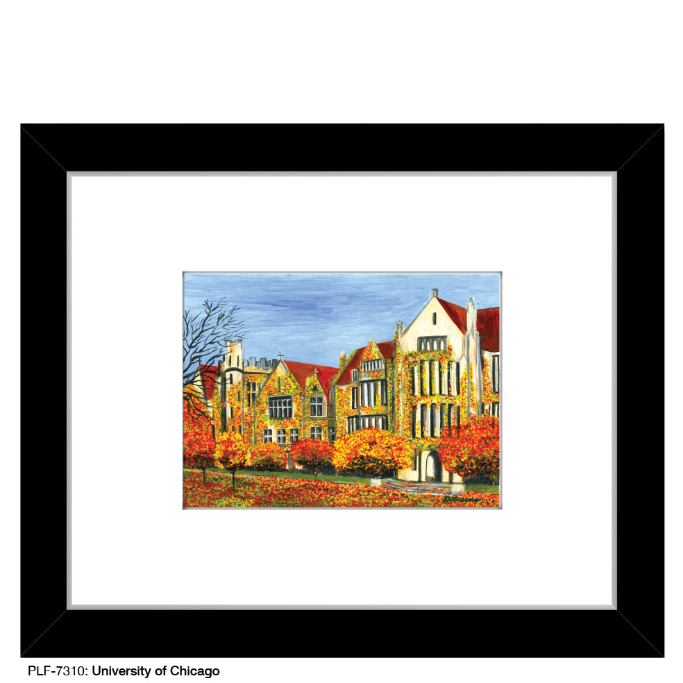 University of Chicago, Print (#7310A)