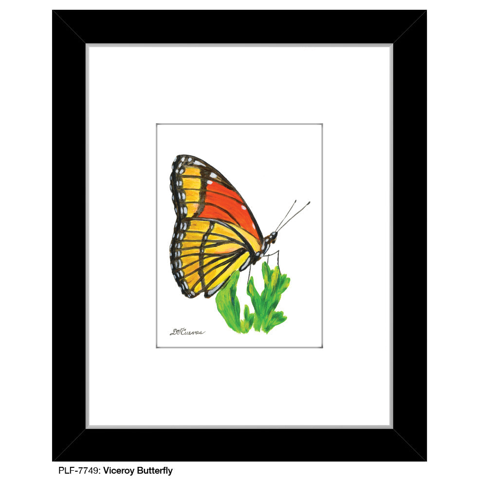Viceroy Butterfly, Print (#7749B)