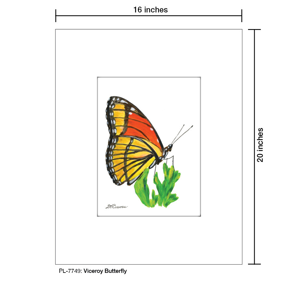 Viceroy Butterfly, Print (#7749B)